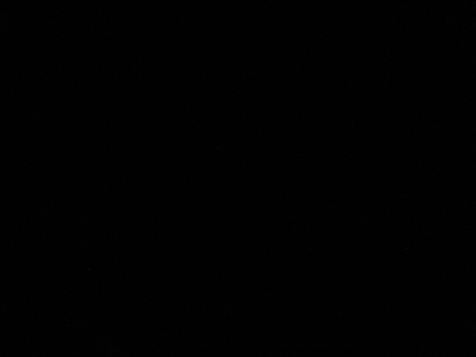 IMG_0315.JPG